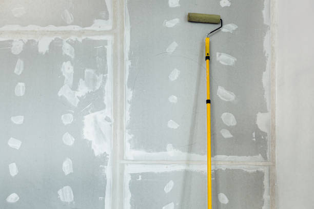  Le Sueur, MN Drywall & Painting Services Pros